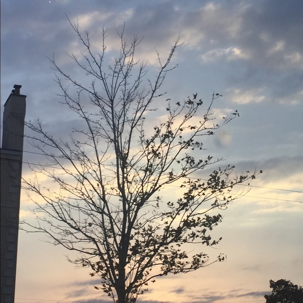 Meet your Posher, Natalia